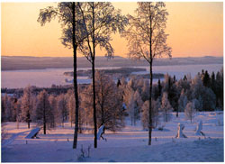Vy fr&aring;n Kalkberget mot Havsn&auml;s ca 1990. Jämför med föregående!